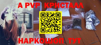 шишки Новодвинск