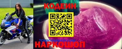 шишки Новодвинск