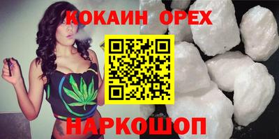 шишки Новодвинск
