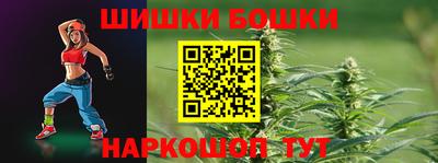 шишки Новодвинск