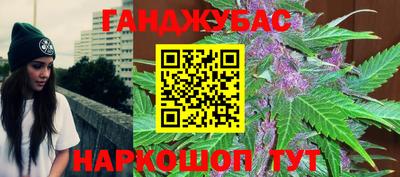 шишки Новодвинск