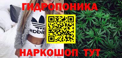 шишки Новодвинск