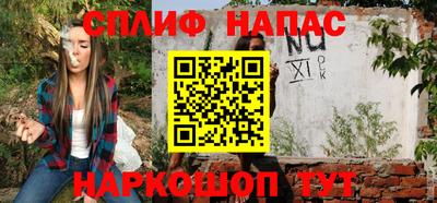 шишки Новодвинск