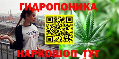 мет Новозыбков
