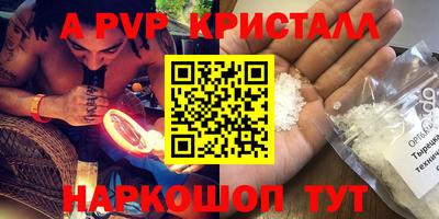 шишки Новодвинск