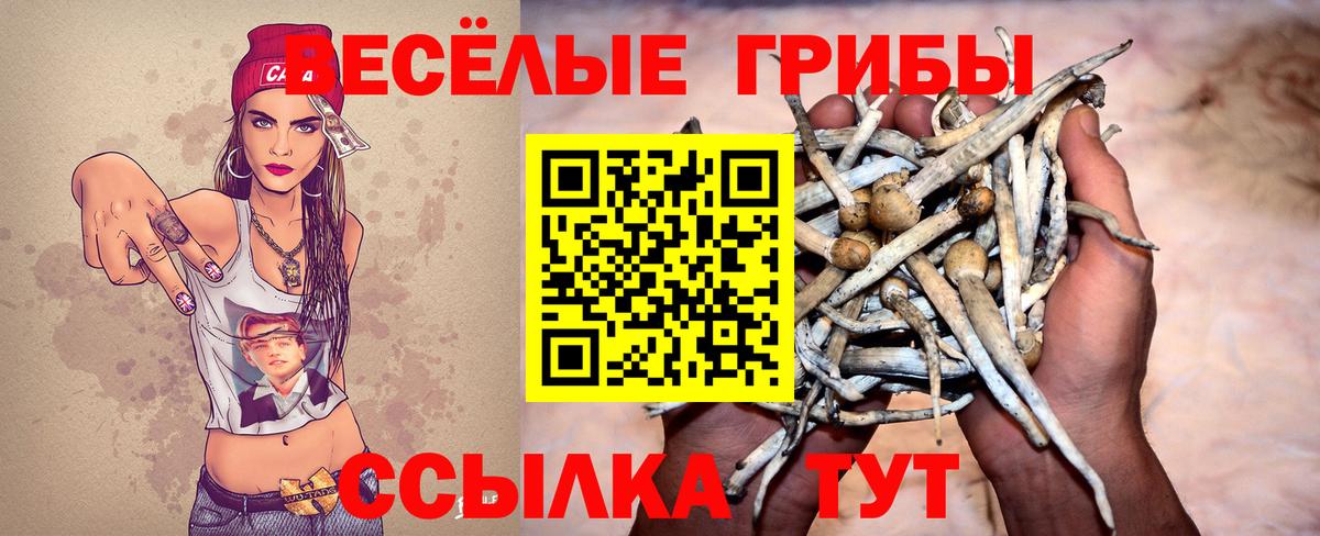 Псилоцибиновые грибы прущие грибы Родники